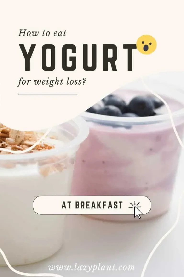 Beyond Fat: Protein, Sugar, and Why Low Fat Yogurt Might Not Be Enough
