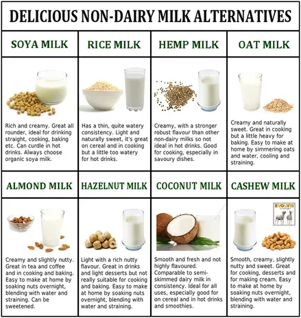Beyond the Basics: Other Low Fat Milk Substitutes to Consider