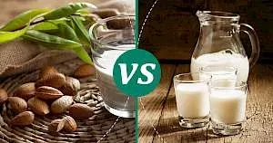 Calories: The Big Difference in Almond Milk vs Low Fat Milk