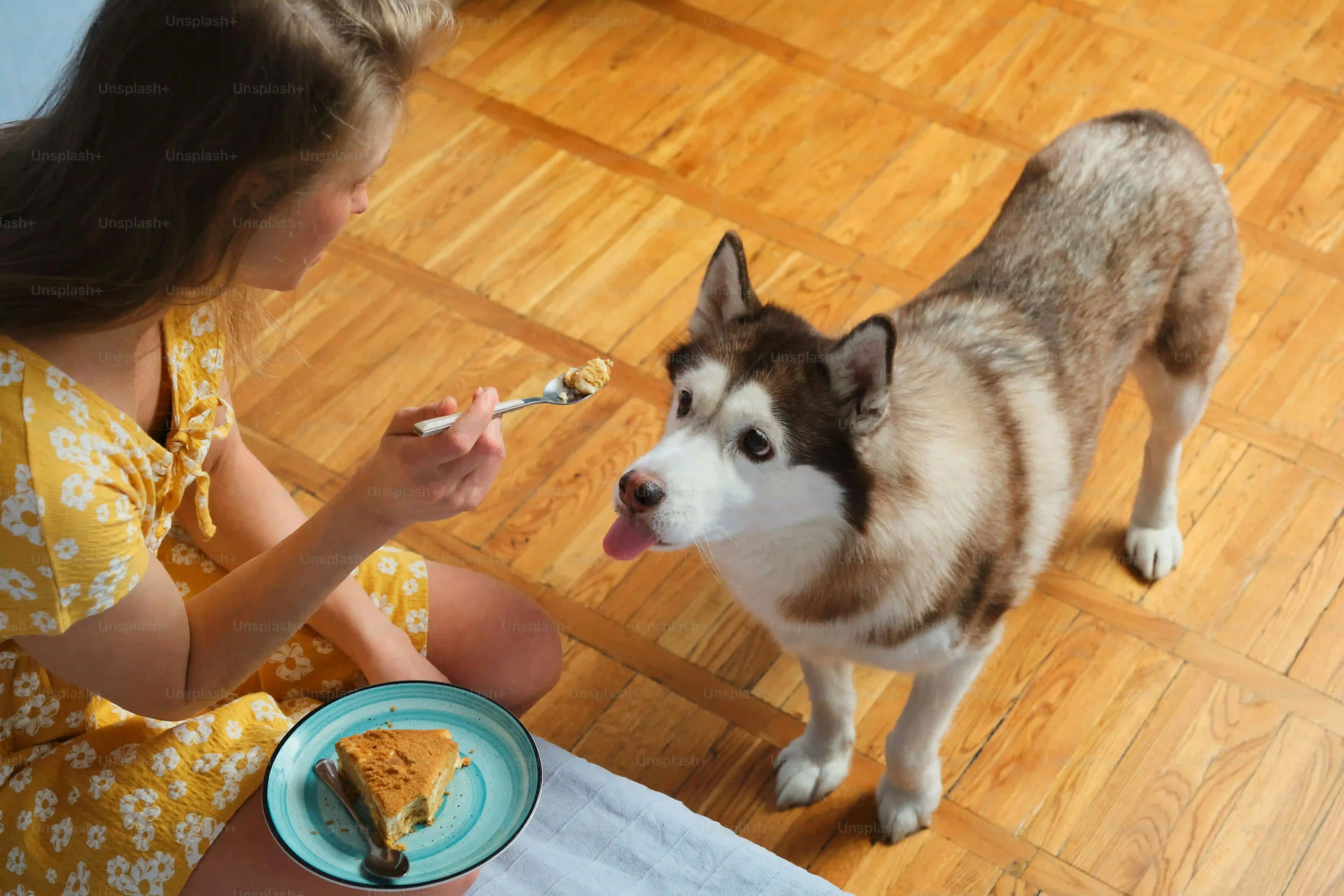Can Dogs Eat Low Fat Yogurt? Essential Benefits & Facts