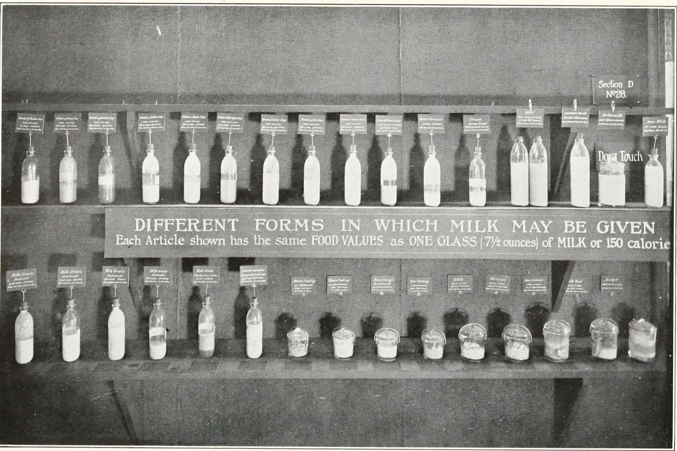Choosing Your Milk: Low Fat, Reduced Fat, or Something Else?