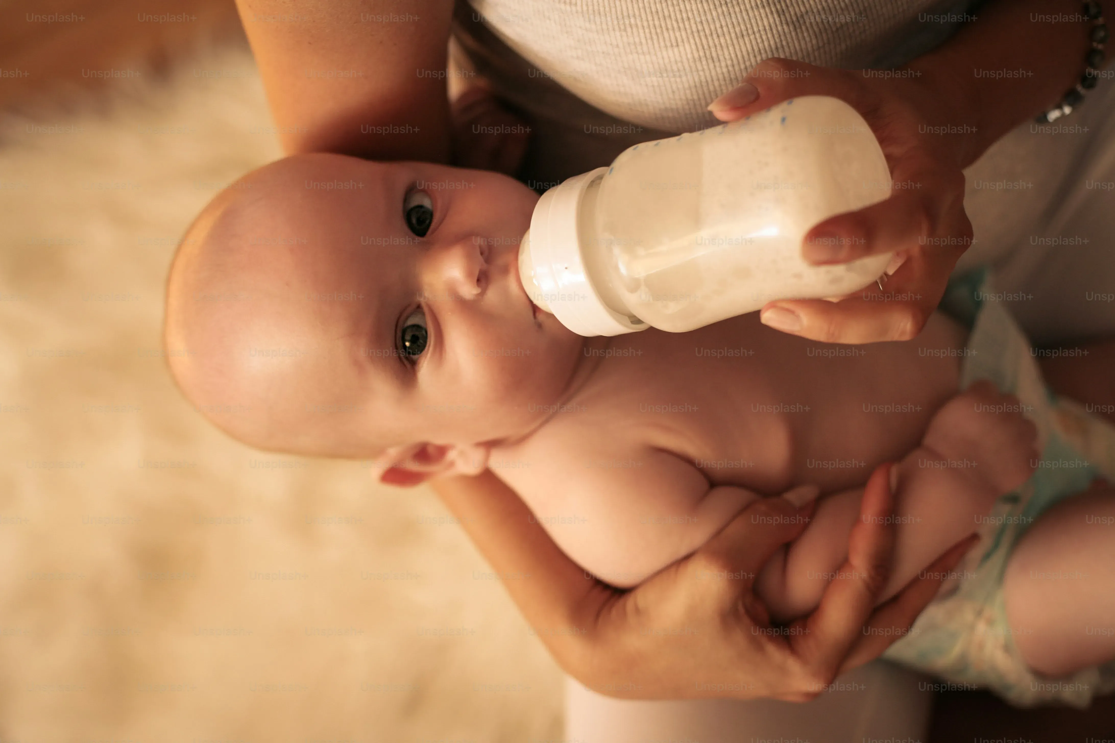 Exploring Alternatives: PlantBased and Low Fat Milk for Pregnant Diets