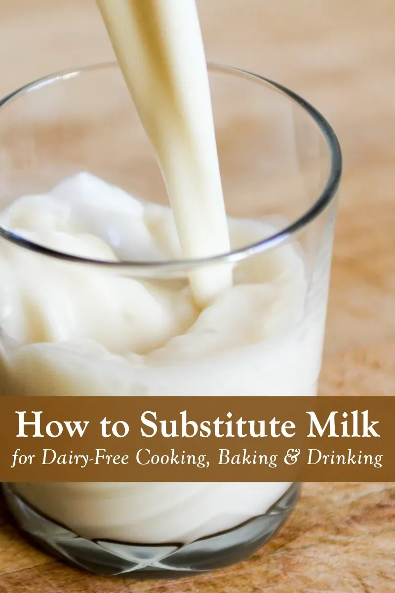 Exploring Popular NonDairy Options