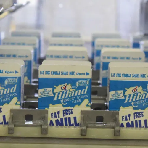 From Udder to Carton: The Industrial Process