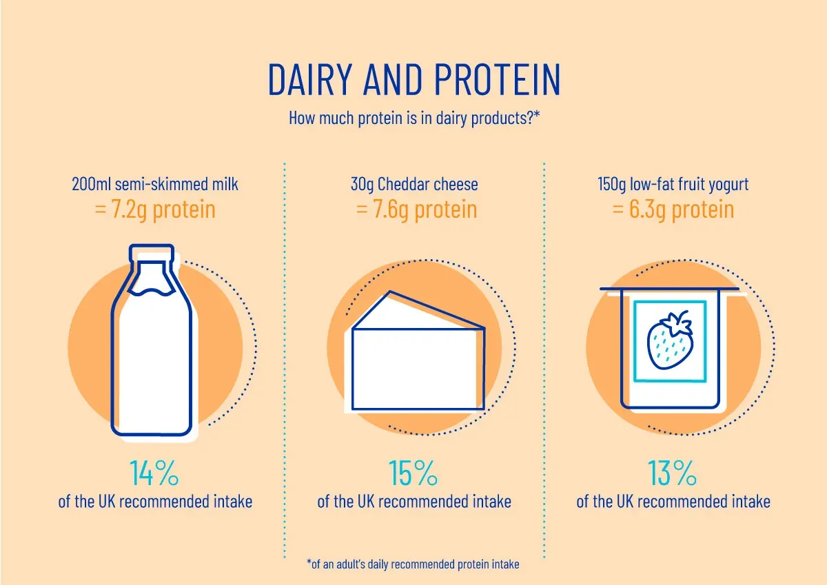 How Much Protein in Low Fat Milk? The Straight Facts