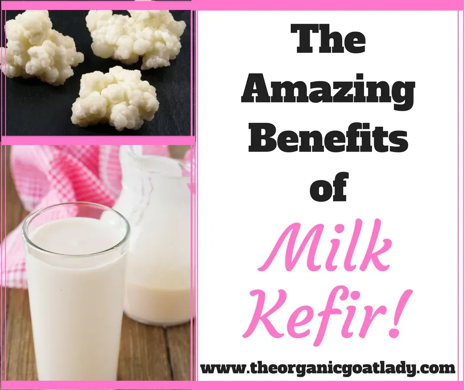 How to Actually Use Kefir Low Fat Milk