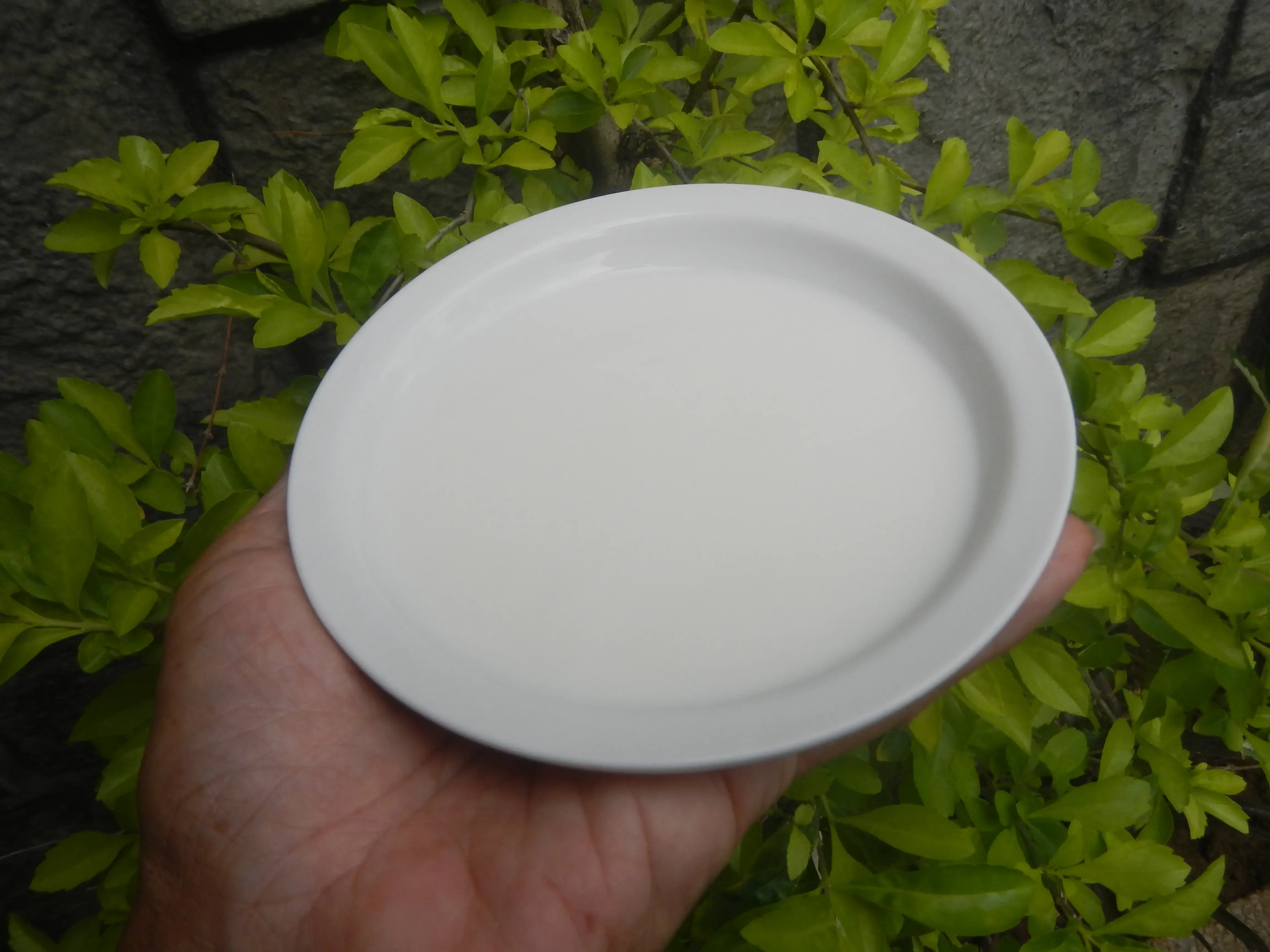 Incorporating Milk Low Fat Into Your Daily Routine
