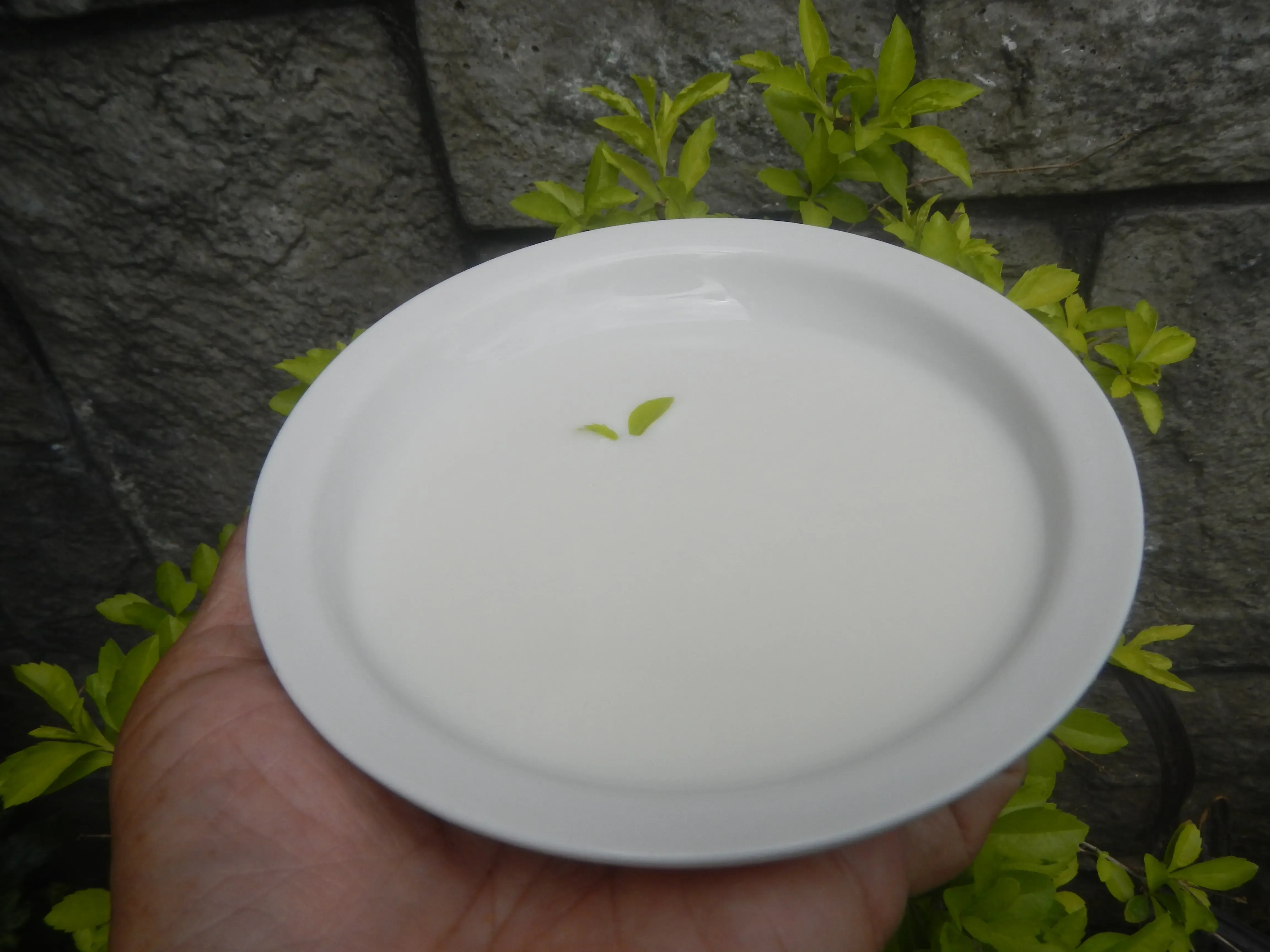 Low Fat Milk Compared to Skim: Calories and Nutrients