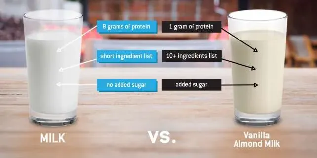 Best low fat or full fat milk for low oxalate Choices