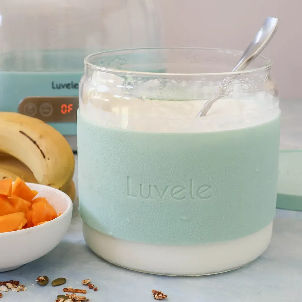 Create Healthy Homemade low fat yogurt recipes Now