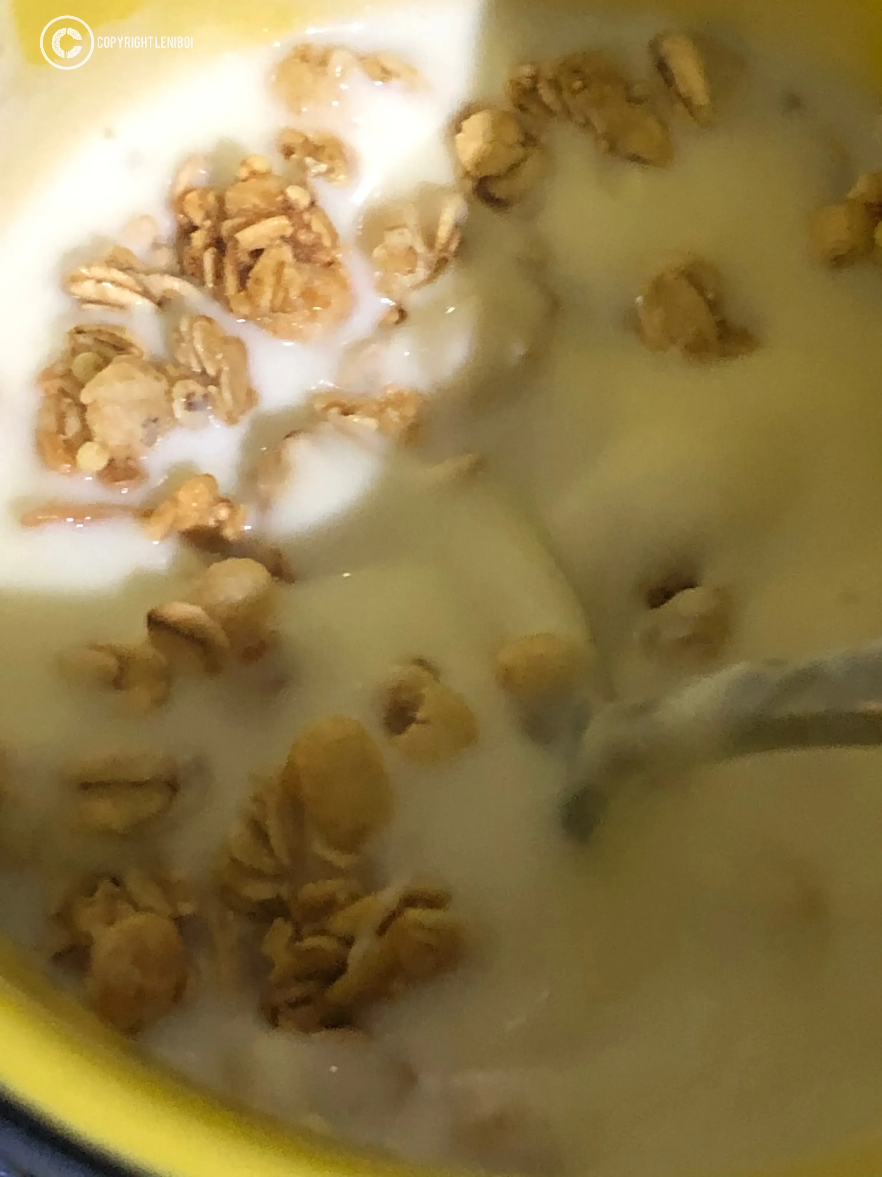 Making Your Perfect Pick: How to Choose the Best Low Fat Vanilla Yogurt