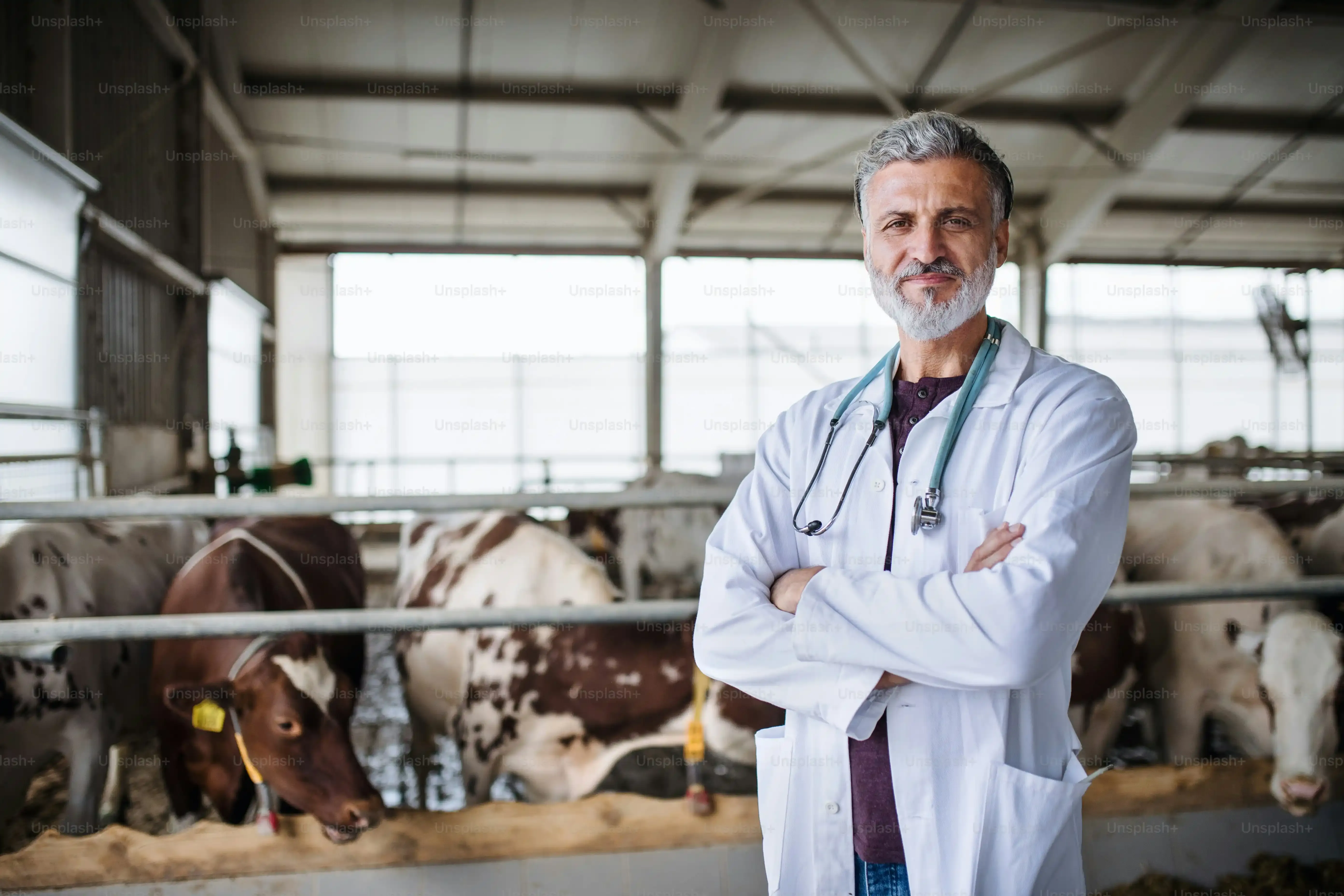 Nutritional Showdown: Comparing Skim, LowFat, and Other Milks
