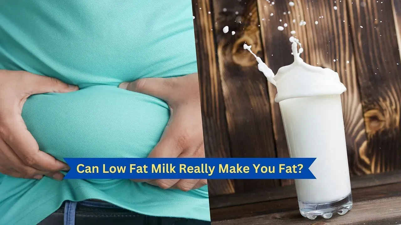 Skim vs. Whole: Understanding Dairy Fat