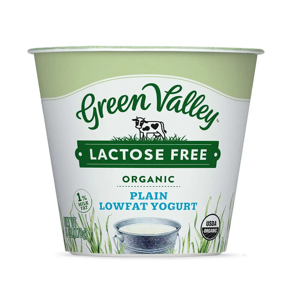 Top Low Fat Dairy Free Yogurt Brands to Try Now