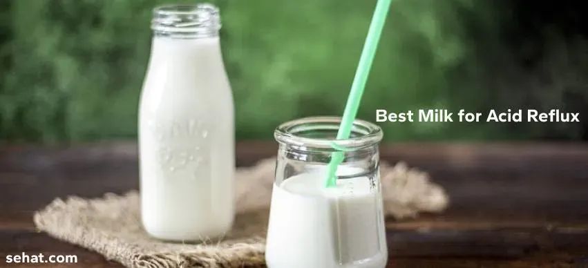 Understanding Acid Reflux and Why Some Foods Trigger It