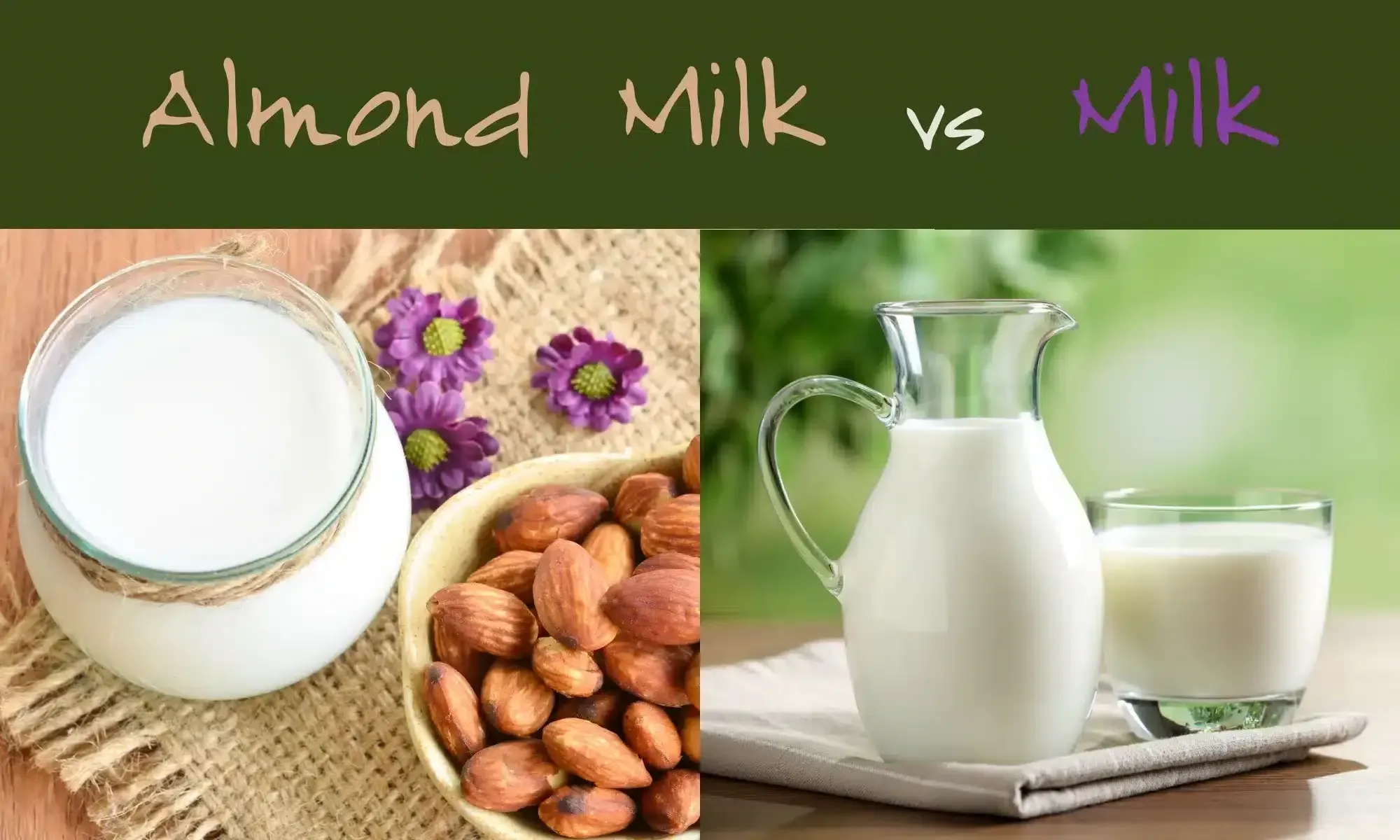 Which Milk Wins for Weight Loss: Almond Milk or Low Fat?