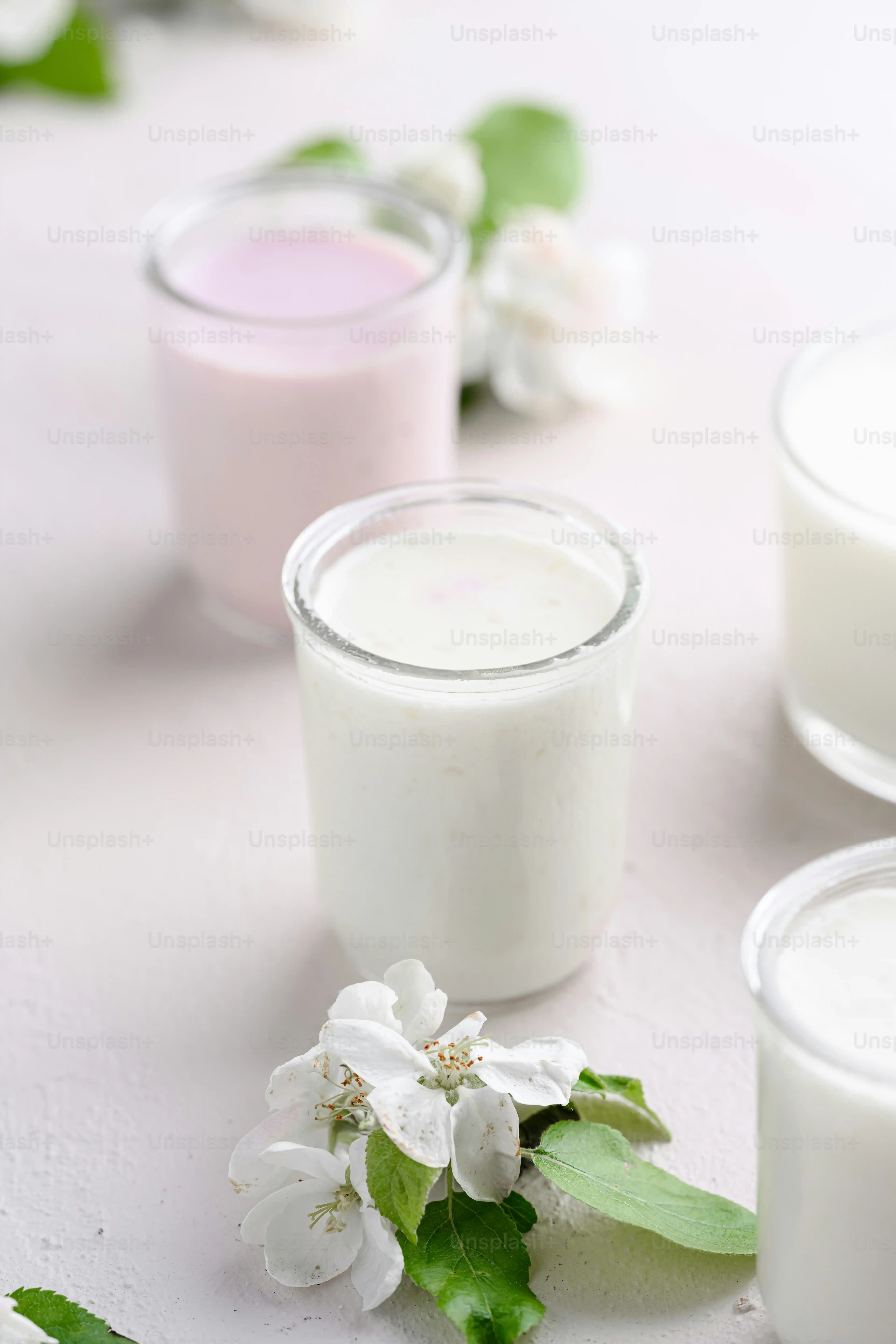 Whole Milk Yogurt vs Low Fat Yogurt: The Core Difference