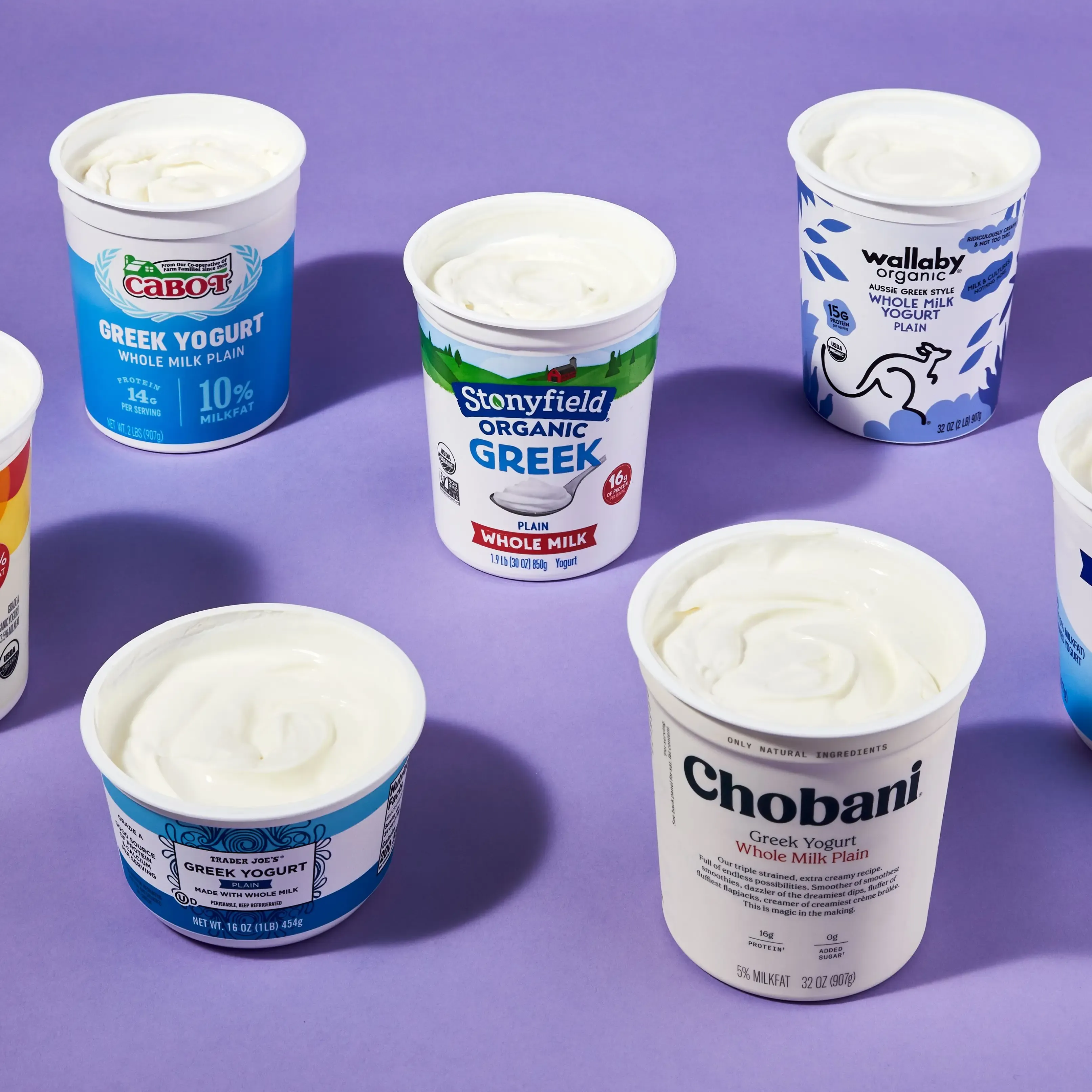 Why Choose Low Fat Greek Yogurt?